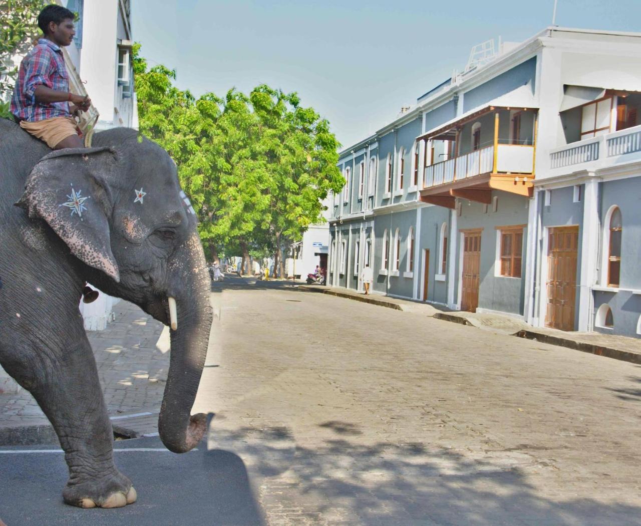 Patricia Guest House Pondicherry Exterior foto